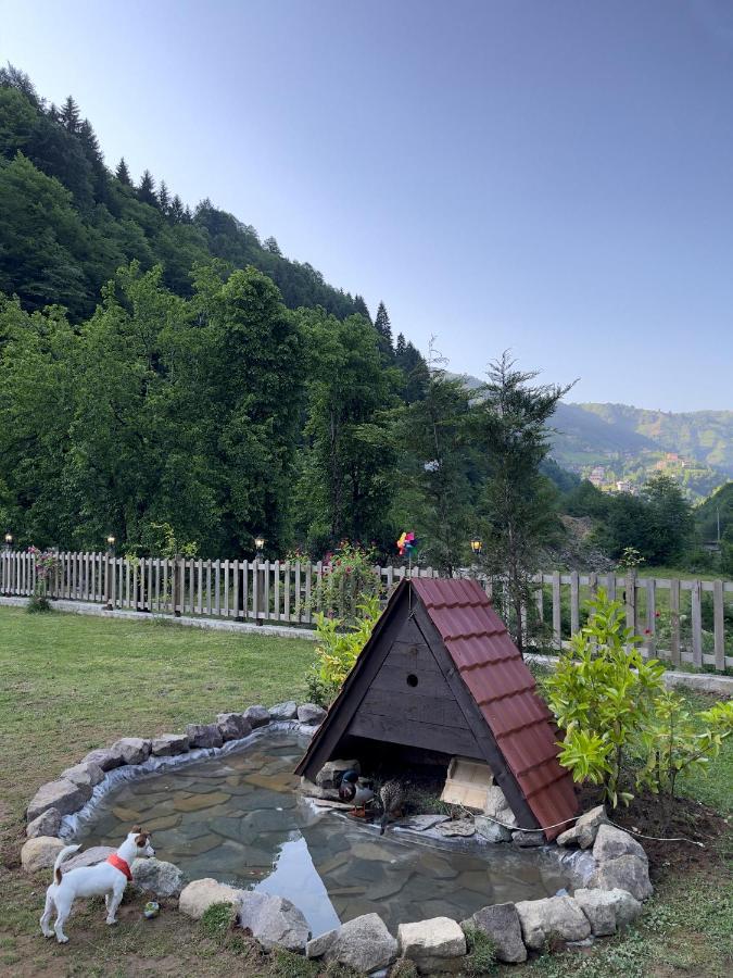 Dream River Exclusive Bungalow Rize Esterno foto